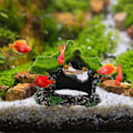 Miniatyrbillede 4 af 5: Akvariedekoration Hjemme Resin Hul Skjulested Betta Fisk Drivtømmer Tilbehør Hule Ornament Tank Lille Mos Fisk Skjulested