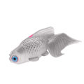 Miniatyrbillede 1 af 5: Simuleringsfisk|Brun Guldfisk nr. 6