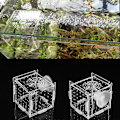 Miniatyrbild 3 av 5: Fiskodlingslåda Akvarium Liten Inkubator Med Sugkopp För Nyfödda Räkor