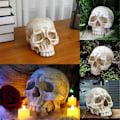 Miniatyrbillede 4 af 5: Kranie dekoration kranie, Day of the Dead menneskekranie harpiks model kunst