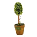 Miniatyrbillede 3 af 5: Plastik Have Græs Bold Topiary Træ Pot Tørret Plante til Bryllupsdekoration (Hjerteformet)