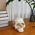 Miniatyrbillede 5 af 5: Kranie dekoration kranie, Day of the Dead menneskekranie harpiks model kunst