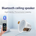 Pikkukuva 2 / 5: Korkealaatuinen Bluetooth-kattokaiutin, ammattimainen surround-ääni