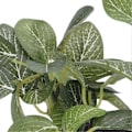 Miniatyrbillede 4 af 5: 2 stk. Akvarieplanter Dekorationer Høj Simulation Akvarium Kunstige Landskabsplanter til Akvarier