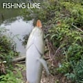 Miniatyrbild 5 av 5: Mjukt Fiske Mjukt Bete Bly Jigg Dark Sleeper Swimbaits Fiskedrag