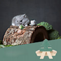 Miniatyrbild 3 av 5: Nötdispenser Ekorre Trä Majsmatningsställ