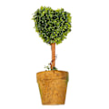 Miniatyrbillede 2 af 5: Plastik Have Græs Bold Topiary Træ Pot Tørret Plante til Bryllupsdekoration (Hjerteformet)