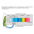 Miniatyrbillede 4 af 5: 12W UV Vandsterilisator til Akvariefisketank EU-stik