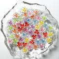 Miniatyrbillede 2 af 5: 50 stk. 3D Blomster til Negle Charms Is Transparente Blomster Neglecharms Blomster Neglekunst Charms Selvlysende Blomster Charms {HH}