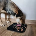 Miniatyrbillede 4 af 4: Slow Feeder Skål til Hund & Kat - Spis langsommere