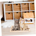 Miniatyrbild 4 av 5: TS-Klösleksak Klösbräda Golv Klösplatta Klösbräda Utbytbar Kattunge Klös