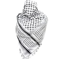 Miniatyrbilde 1 av 2: Palestinaskjerf, Keffiyeh, Arafat Hatta, opphøyd med dusker, Shemagh Keffiyeh Arab hundetannsmønster 100%