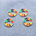 Miniatyrbillede 1 af 5: Emblem 17 Farver Bæredygtige Udviklingsmål Broche FN SDG Pin Hfmqv