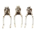 Pikkukuva 1 / 5: TS-3kpl Halloween Aave Kallo Hartsi Koriste Karmiva Rekvisiitta Halloween Koristelu Sisä- ja Ulkotiloihin Kauhu