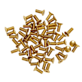 Miniatyrbilde 1 av 5: TS-50 stk. Flat Socket Head Cap Skruer Ren Kobber M3 Skruer (m3 X 8)