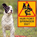 Miniatyrbild 2 av 2: HUR SNABBT SPRINGER DU? Skylt Hundskylt / Varningsskylt Hund / A5