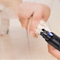Miniatyrbillede 4 af 4: Elektrisk negletrimmer til hunde og katte