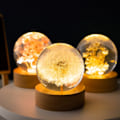 Miniatyrbillede 4 af 5: Ægte konserveret blomst glaskugle natlampe | Dæmpbar batteridrevet LED (mælkebøtte)