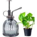 Plantesprøyte, Sprayflaske Glass Blomst Vannsprayflaske