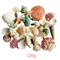 Miniatyrbild 4 av 5: 120 g Naturliga Turbo Snäckskal Havsnäcka Eremitkrabba Hus Akvarium Praktiska Snäckor Hantverk Dekorationer Rekvisita Människor Inga Människor Plats
