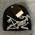 Miniatyrbillede 1 af 2: ARC'TERYX Herrehue Casual Varm Vinter Skihue Sort