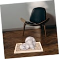 Miniatyrbild 5 av 5: TS-Klösleksak Klösbräda Golv Klösplatta Klösbräda Utbytbar Kattunge Klös