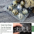 Miniatyrbilde 3 av 5: 100 stk 12 Ruters Vaktel-eggeske Gjenbrukbare Vaktel-eggkartonger Eggoppbevaringsboks Transparent Kjøleskap Oppbevaringsboks Mini Eggdispenser med Lokk for Kjøleskap