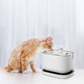 Pikkukuva 5 / 5: 12-pakkia korvaavia suodattimia yhteensopivia Dockstream langattoman vesi-fontäänin kanssa PLWF005/PLWF115/WF105