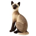 Plys Kattlegetøj Blød Kastepude Dekorationer Børn Børnefødselsdagsgave 20cm Siamese Kat