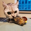 Miniatyrbild 4 av 5: Simulerad fågelkvitterleksak för katt Portabel husdjur Interaktiva träningsleksaker för inomhuskatt
