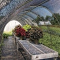 Miniatyrbillede 4 af 4: TS-Filet Solbeskyttelse 50%, Vindtæt Sejl med Øjer til Mesh Skygge, der Blokerer UV-stråler Planter Sort, til Have F