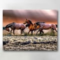 Miniatyrbilde 1 av 5: Lerretbilde / Bilde - Hest - 40x30 cm - Canvas