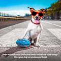 Miniatyrbild 3 av 5: Squeaky Dog Toys for Aggressive Chewers: Rubber Puppy Ball with Squeaker