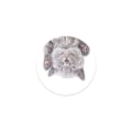 Miniatyrbild 1 av 2: PopSockets Avtagbart Grepp med Ställfunktion Cat Nap