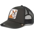 Meshkeps med broderad djurdesign, Snapback-keps, Hund