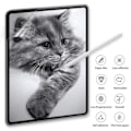 Miniatyrbillede 2 af 4: Samsung Galaxy Tab S9 FE PAPERLIKE Skærmbeskytter