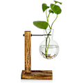 Miniatyrbild 2 av 2: Transparent Vas Skrivbord Trä Stativ Glas Klar Växt Vas för Hem Tabell Skrivbord Inredning Dekoration