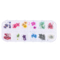 Miniatyrbillede 2 af 2: 12 farver naturlige tørrede blomster til akryl UV gel neglekunst spidser design etui DIY dekoration C