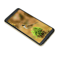 Miniatyrbillede 2 af 5: 6,1 tommer mobiltelefon til Android 11 MT6889 ti-core 7000mah 1440x3040 8MP front 16MP bagkamera 4GB RAM 64GB ROM100‑240V gylden