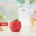 Miniatyrbilde 1 av 2: Sukkulente potte mini frøplante blomsterbeholder plast blomsterpotte for hage gårdsplass balkongvinrød