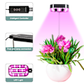 Miniatyrbild 2 av 7: Innovativ Odlinglösning, LED Växtlampa för Inomhusväxter, Automatisk Timer Bordslampa för Bekväm Växtvård