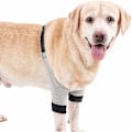 Miniatyrbild 3 av 5: Knäskydd för Hund, Andningsbart Tyg med Stabil Passform och Justerbart Spänne för Komfort, Mjukt Vadderat Armbågsskydd Högkvalitativt Material (1