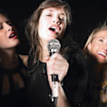 Miniatyrbilde 2 av 5: Håndholdt profesjonell kablet dynamisk mikrofon klar stemme for karaoke vokal musikkforestilling