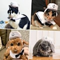 Miniatyrbild 5 av 5: Husdjurs Sjömansdräkt, Kaptenshatt & Ankare Bandana, Justerbar Cape i Kvalitetspolyester för Lekfull Nautisk Cosplay