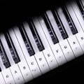 Miniatyrbillede 5 af 5: Greaked Transparent Piano Keyboard Sticker 88 Keys Electronic