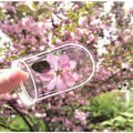 Miniatyrbillede 8 af 8: DIY Håndlavede Hjemmelavede Ins Bogmærke Transparente Tørrede Blomster Bogmærker