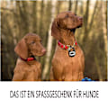 Miniatyrbild 5 av 5: Bärbar Gångräknare, Multifunktionell Träningskompis för Utomhusäventyr