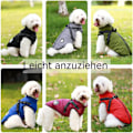 Miniatyrbild 5 av 5: Husdjursskydd, Hundtäcke med Sele, Vattentätt Yttre Lager & Varmt Fleece Foder för Labrador, Chihuahua, Tax, Fransk Bulldog, Vintertäcke,