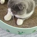 Miniatyrbild 4 av 5: Feline Fun Hub, Konkav Kattklösbräda med Lounge, Multifunktionell Yta för Innekatter (Liten Storlek, I Rosa Toner)