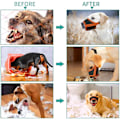 Miniatyrbillede 4 af 5: Hunde snude, blød mesh snude til små mellemstore store hunde chihuahua pudler beagle dachshund corgis labrador